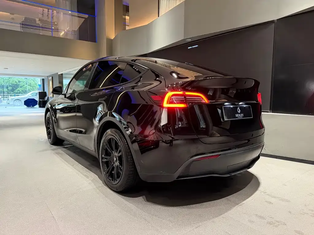 Tesla Model Y — фото 4