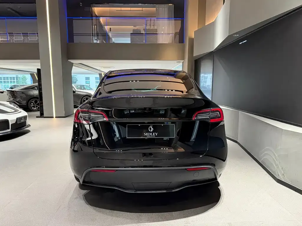 Tesla Model Y — фото 5