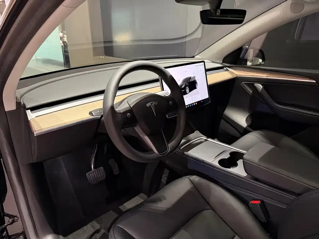 Tesla Model Y — фото 3