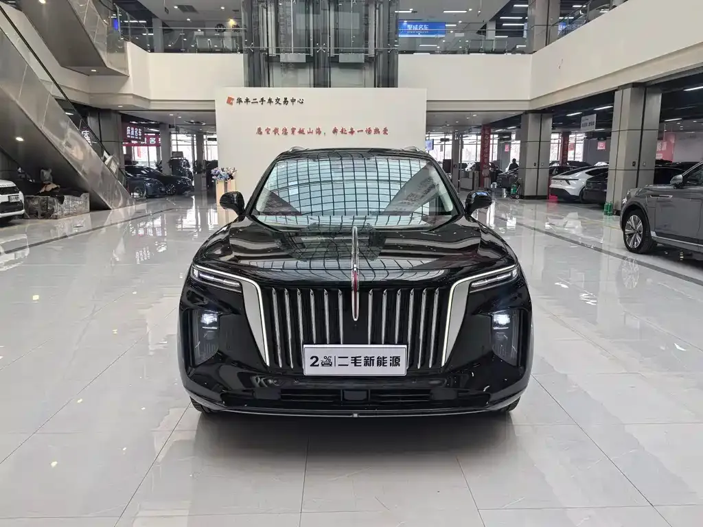 Hongqi E-HS9 — фото 4