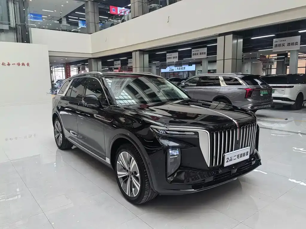 Hongqi E-HS9 — фото 9