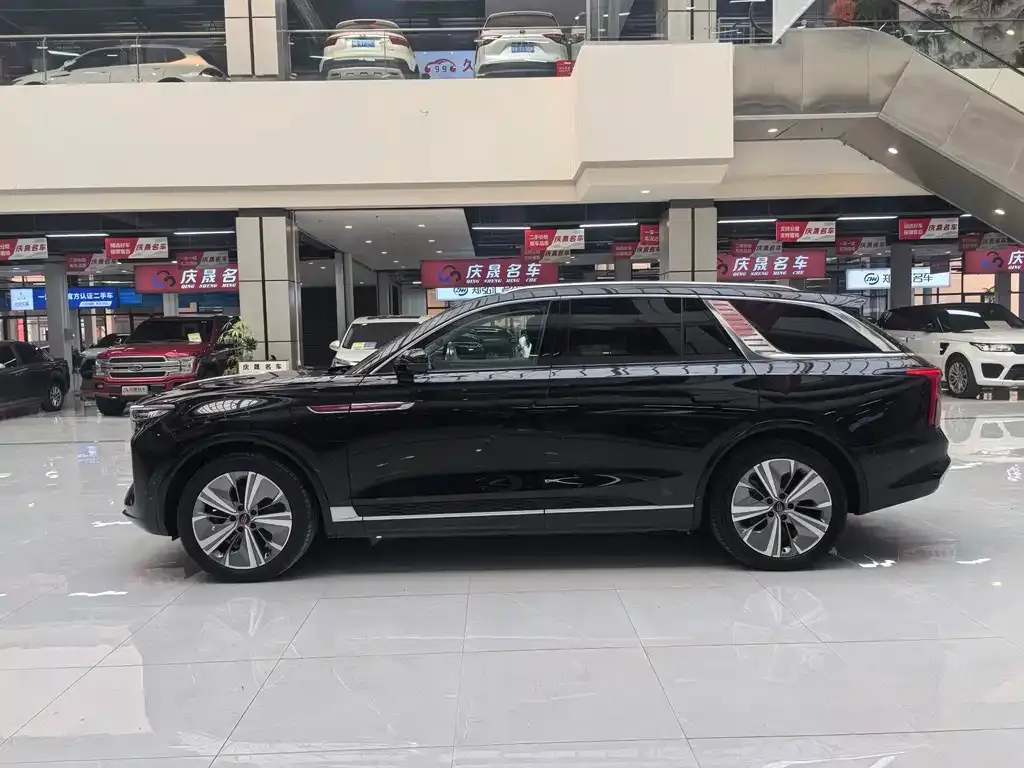 Hongqi E-HS9 — фото 10