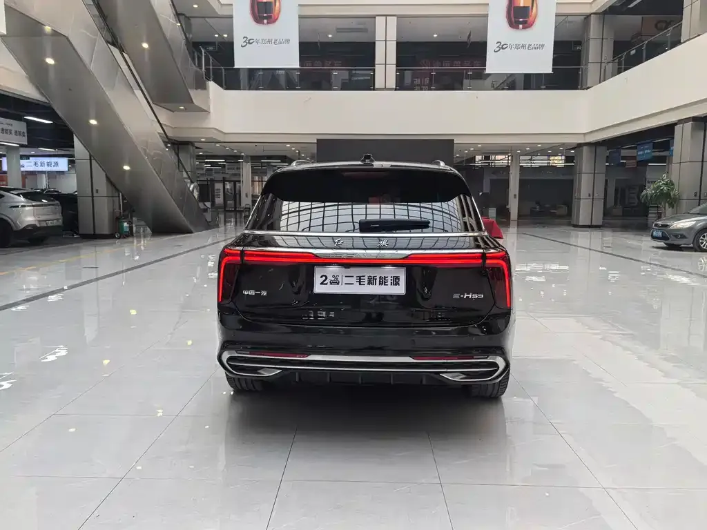 Hongqi E-HS9 — фото 5