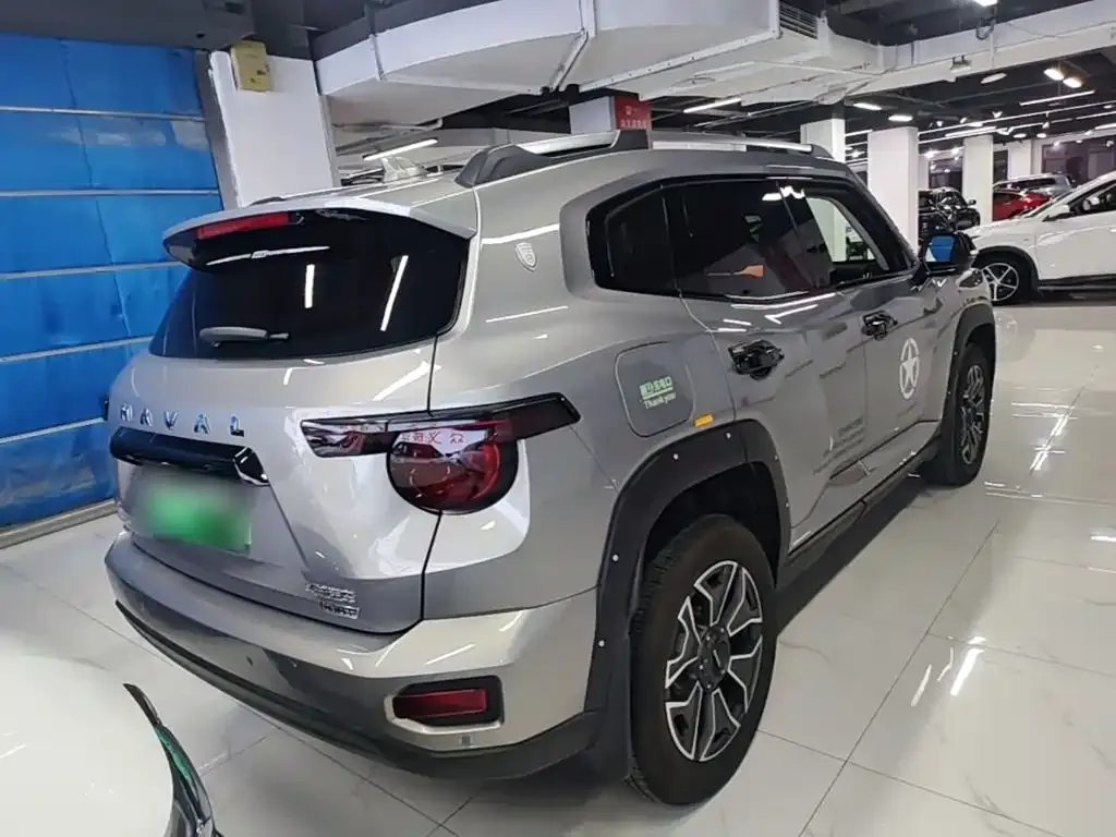 Haval Big Dog PLUS New Energy — фото 9