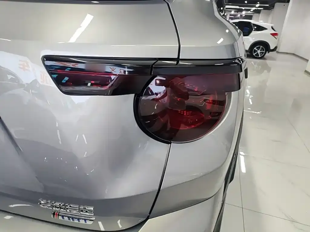 Haval Big Dog PLUS New Energy — фото 6