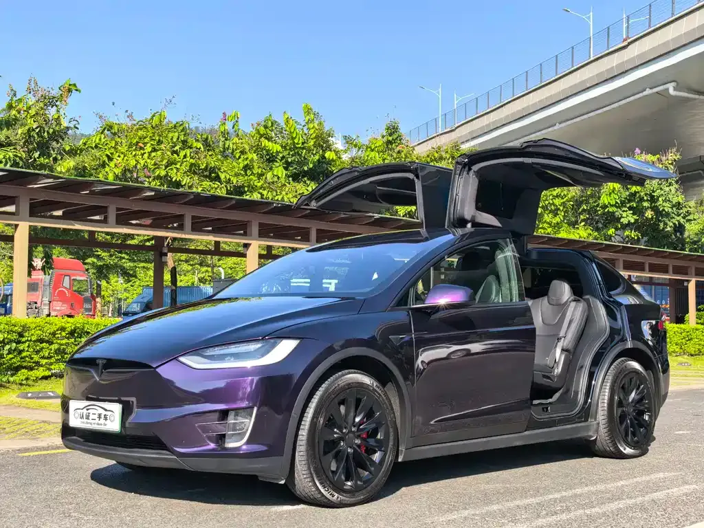 Tesla Model X — фото 1