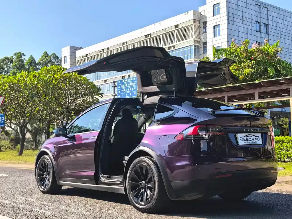 Tesla Model X — фото 10