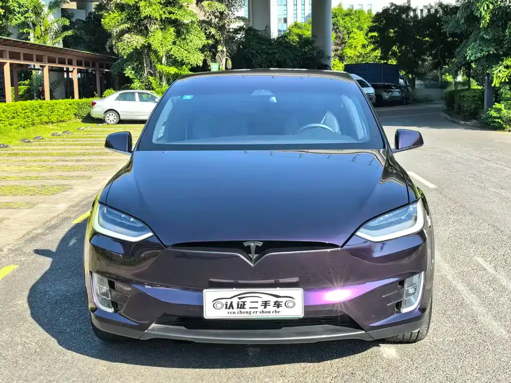 Tesla Model X — фото 8
