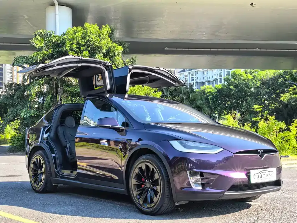 Tesla Model X — фото 7