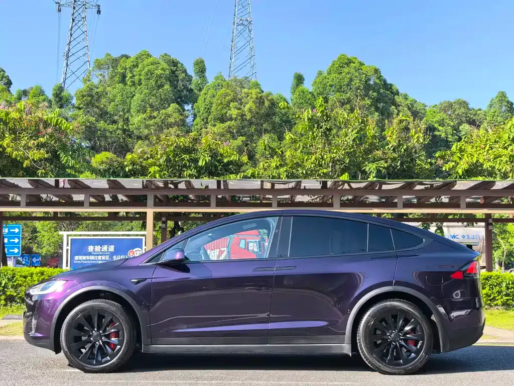 Tesla Model X — фото 9