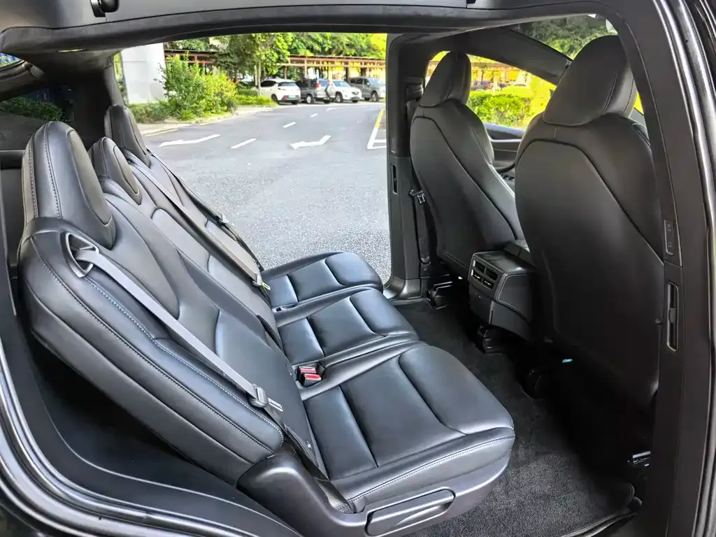 Tesla Model X — фото 6