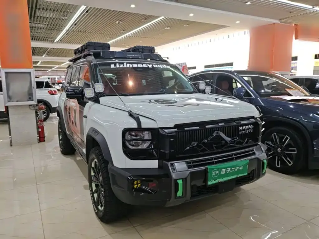 Haval Menglong New Energy — фото 1