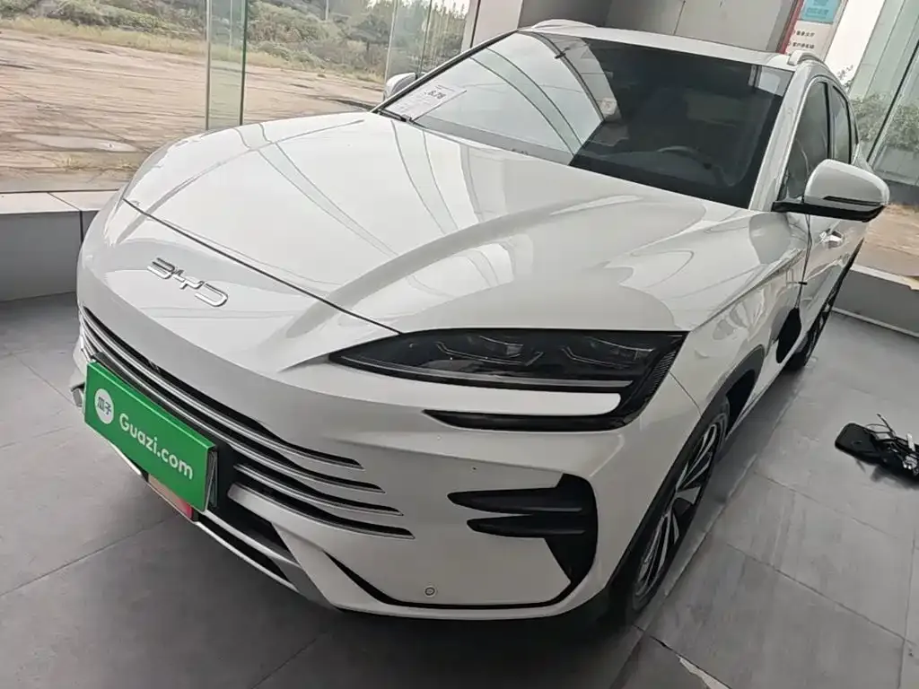 BYD PLUS New Energy — фото 1
