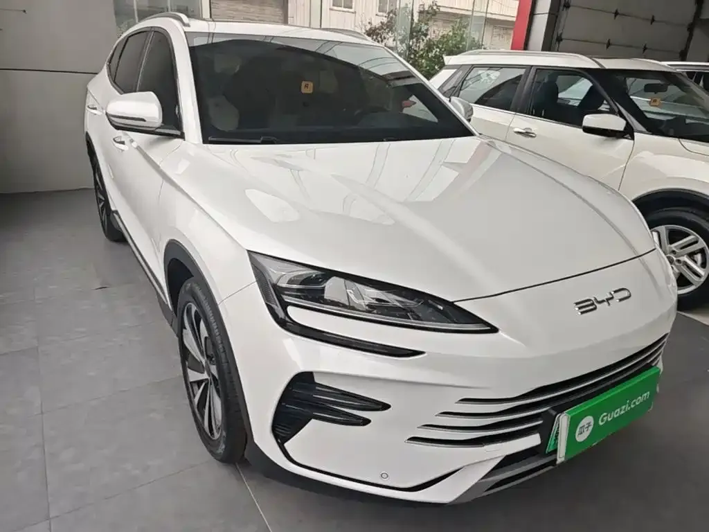 BYD PLUS New Energy — фото 8