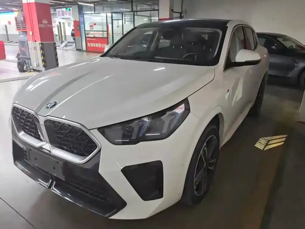 BMW X2 (Import) — фото 1