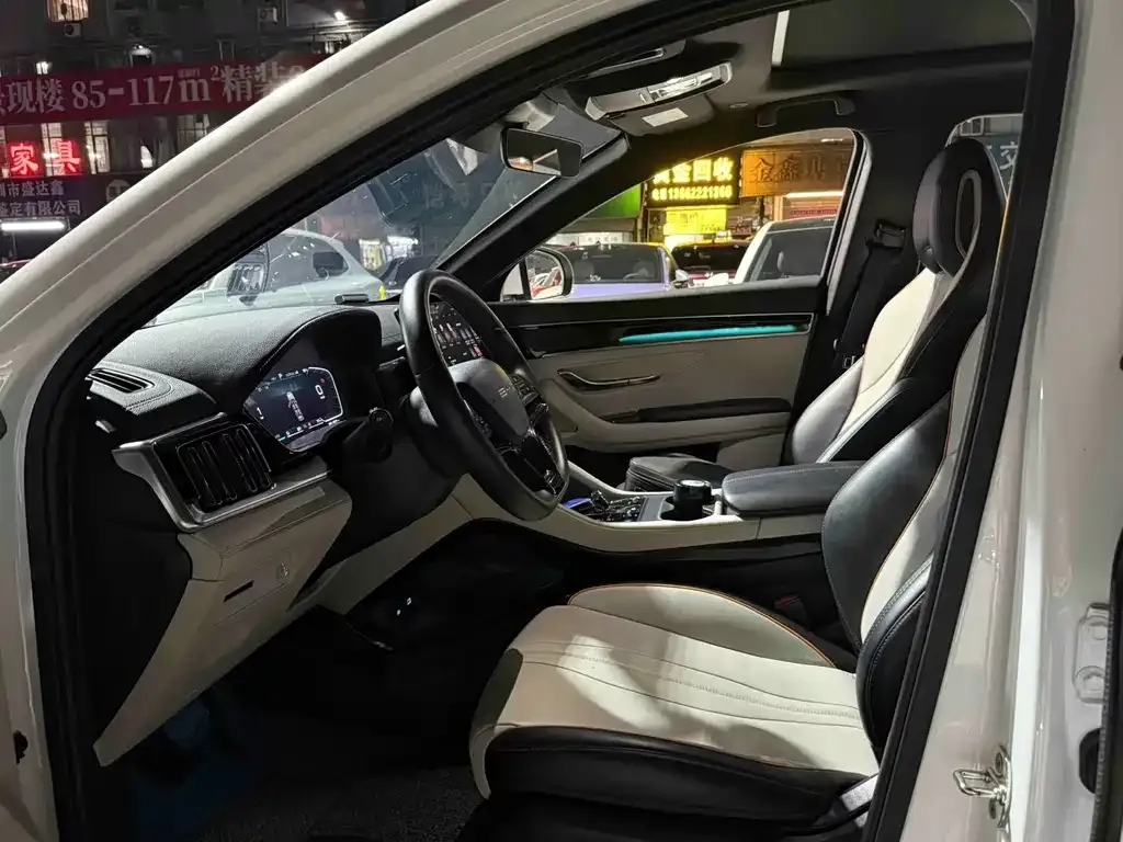 BYD PLUS New Energy — фото 6