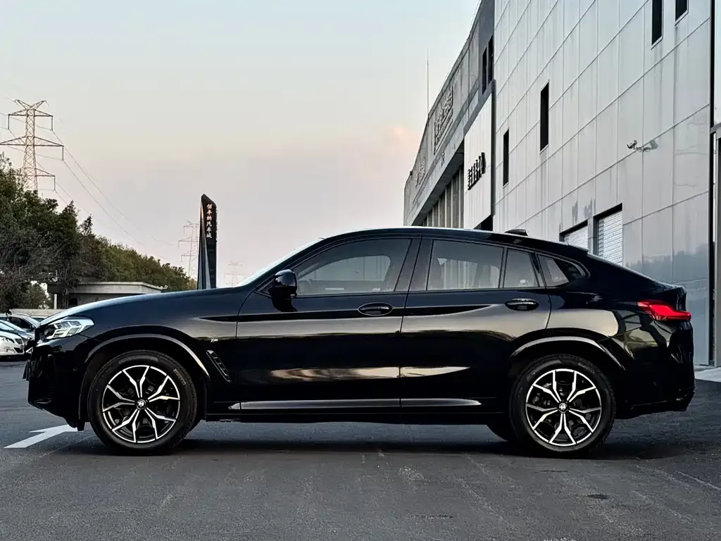 BMW X4 — фото 9