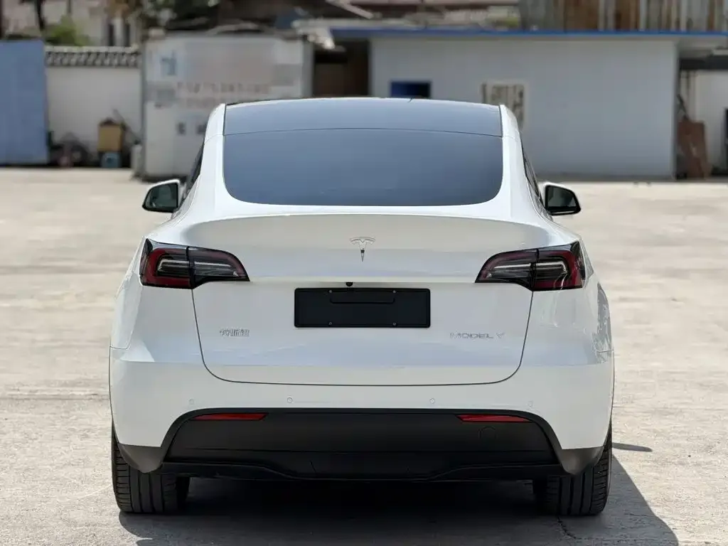 Tesla Model Y — фото 2