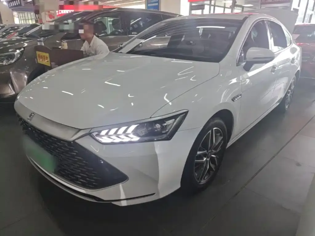 BYD Qin PLUS — фото 1