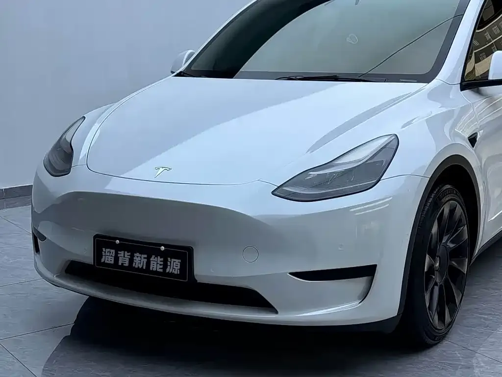 Tesla Model Y — фото 2
