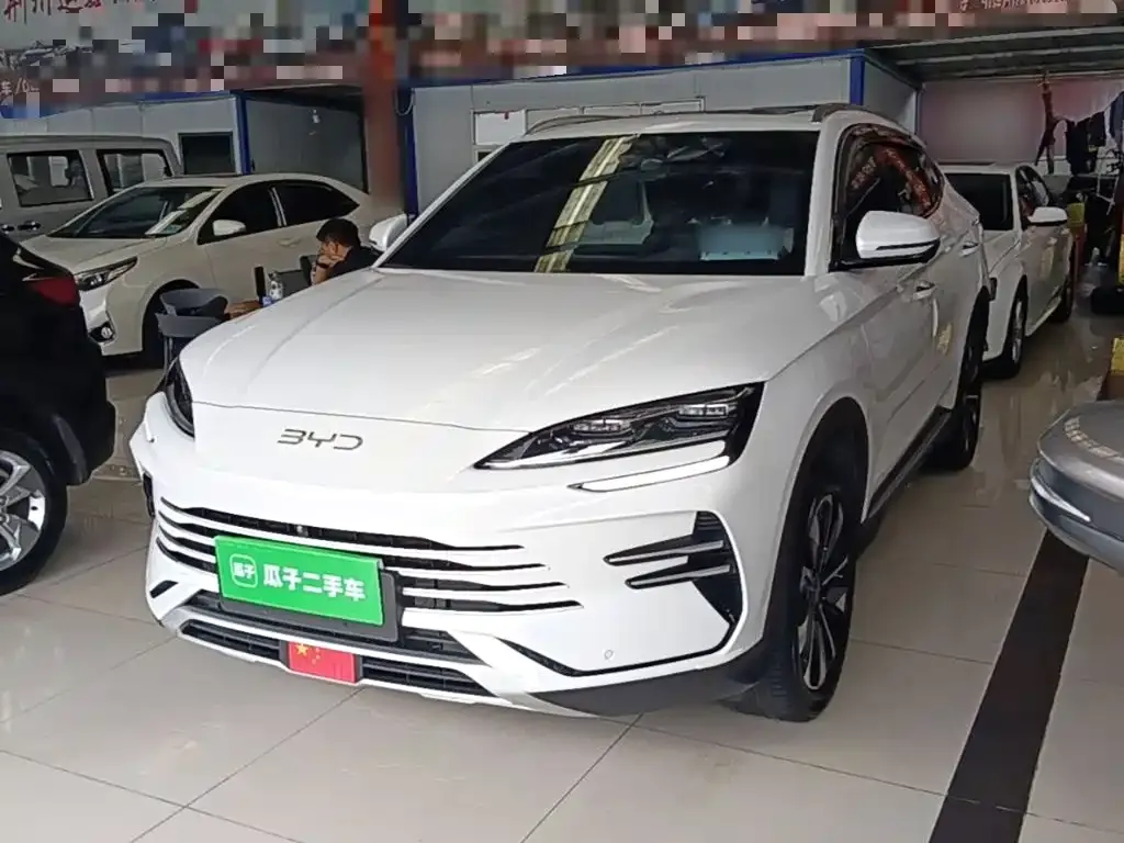 BYD PLUS New Energy — фото 1