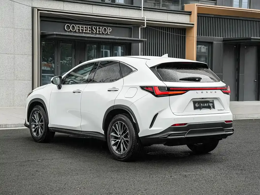 Lexus NX — фото 4