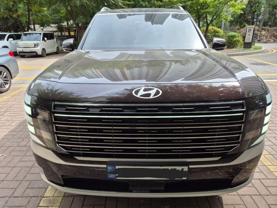 Hyundai Palisade — фото 8