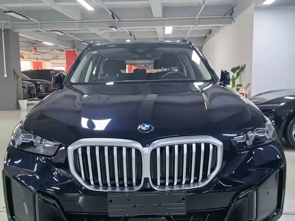 BMW X5 — фото 1