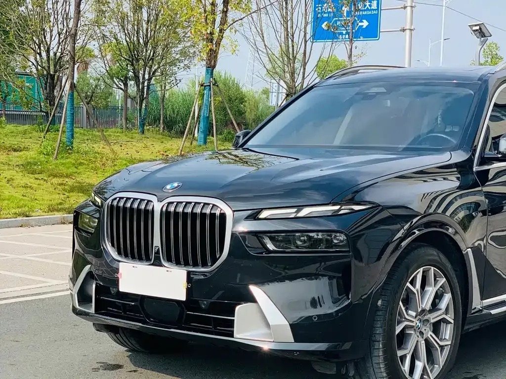 BMW X7 — фото 10