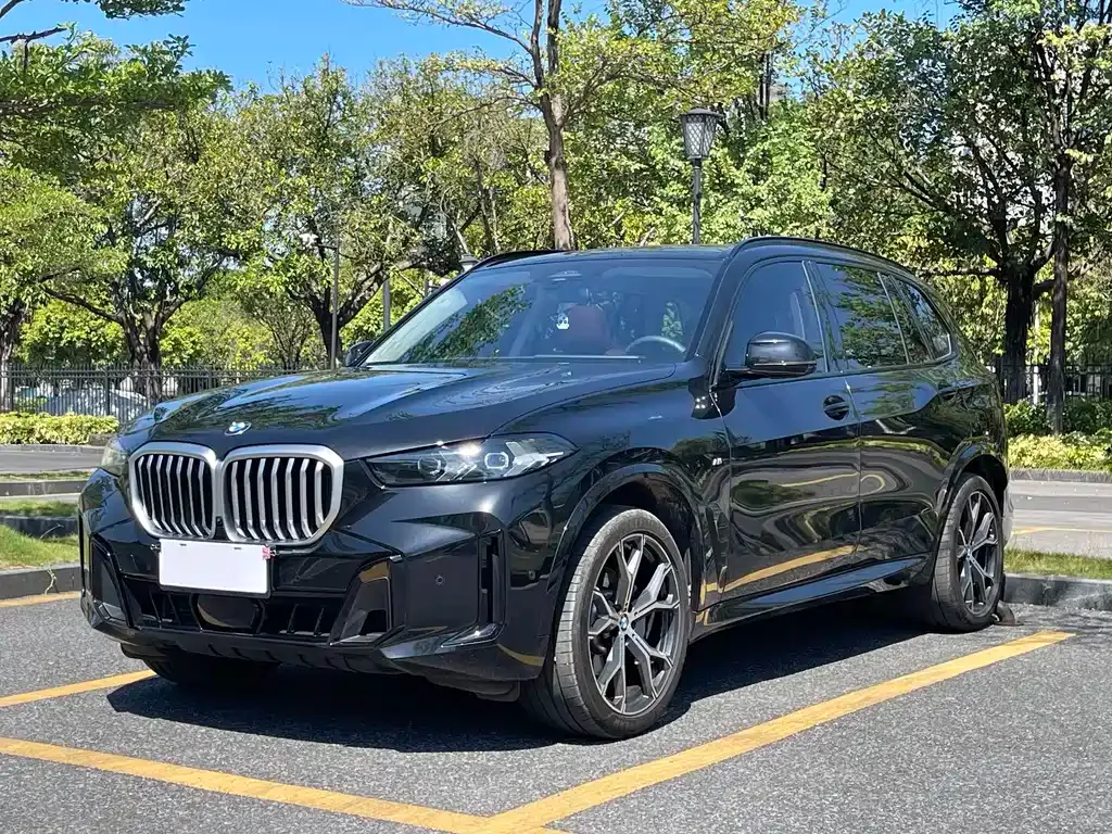 BMW X5 — фото 1