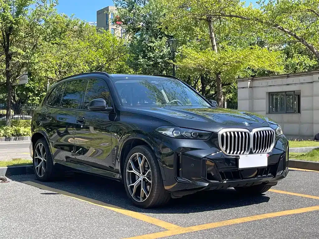 BMW X5 — фото 4