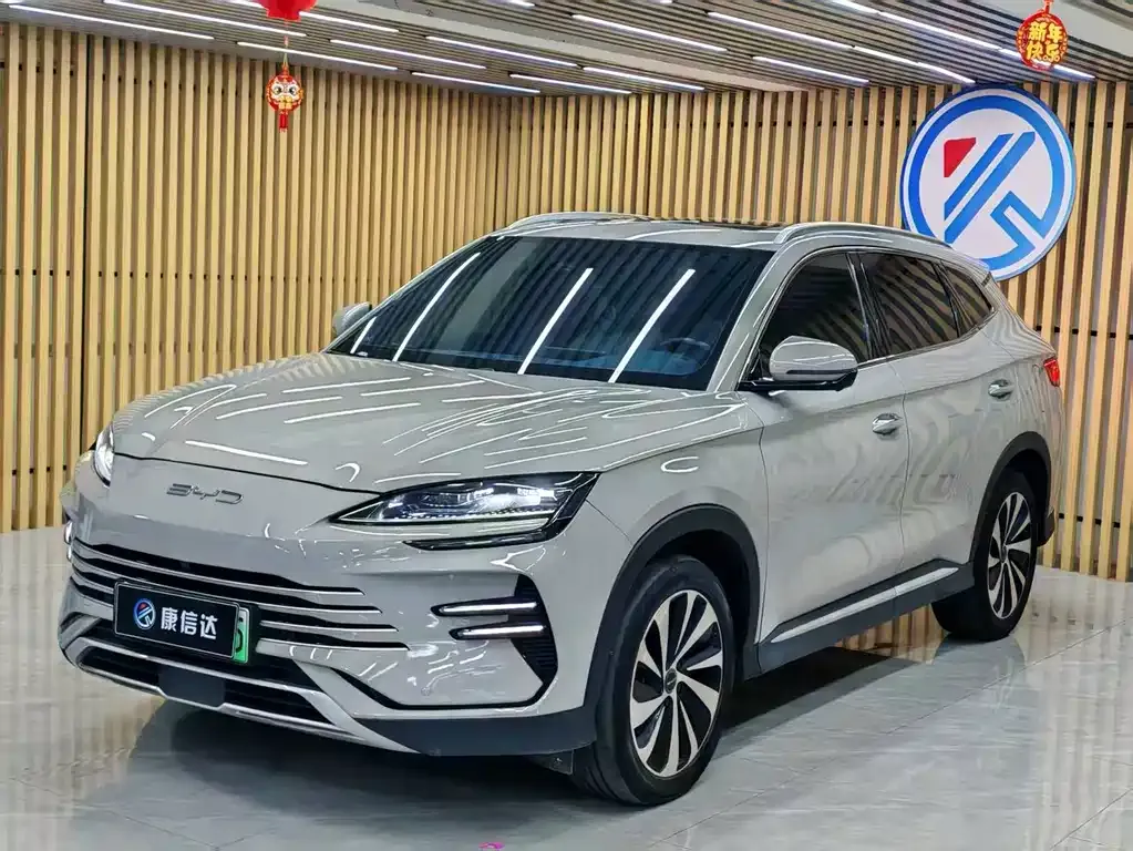 BYD PLUS New Energy — фото 1