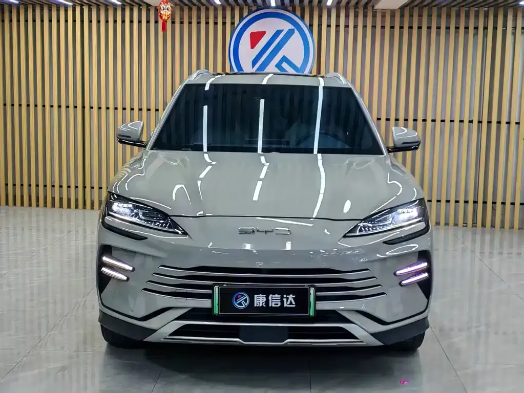 BYD PLUS New Energy — фото 3