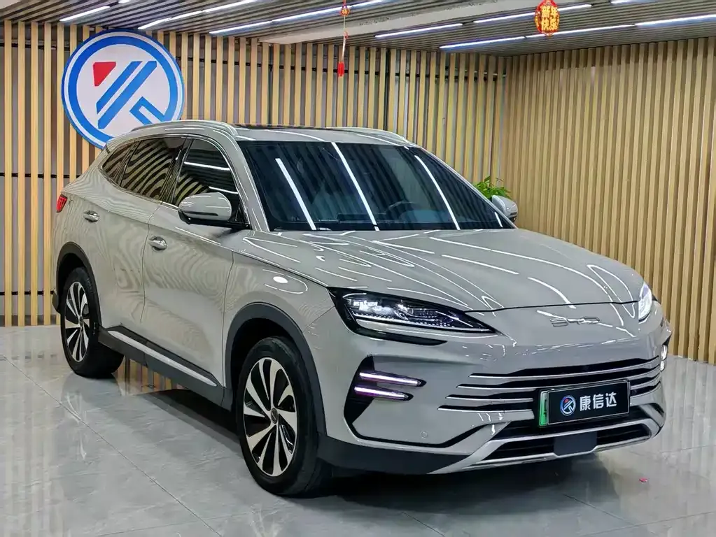 BYD PLUS New Energy — фото 4