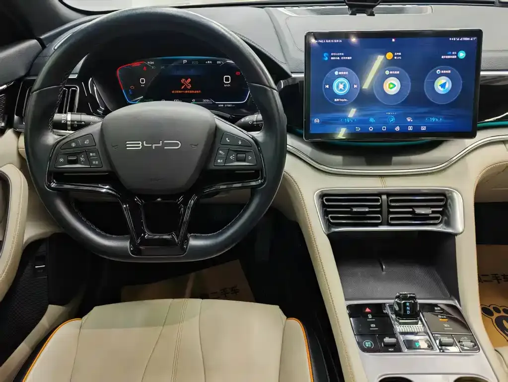 BYD PLUS New Energy — фото 10