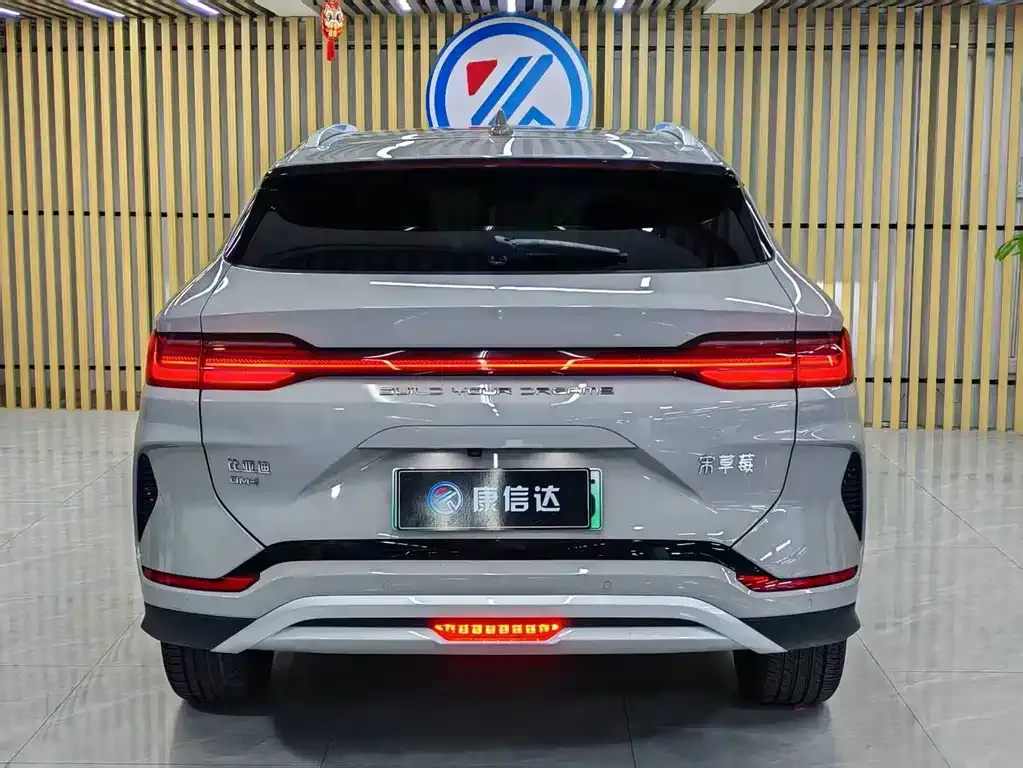 BYD PLUS New Energy — фото 5