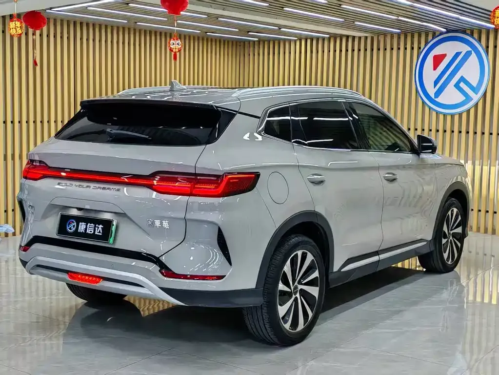 BYD PLUS New Energy — фото 8