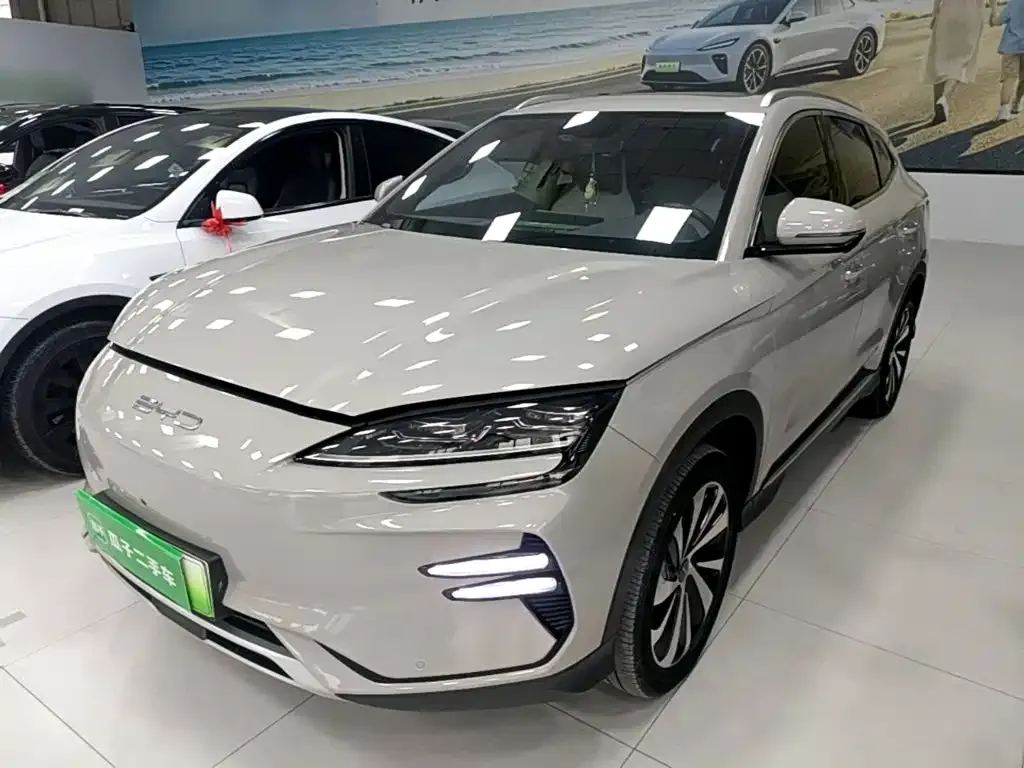 BYD PLUS New Energy — фото 1