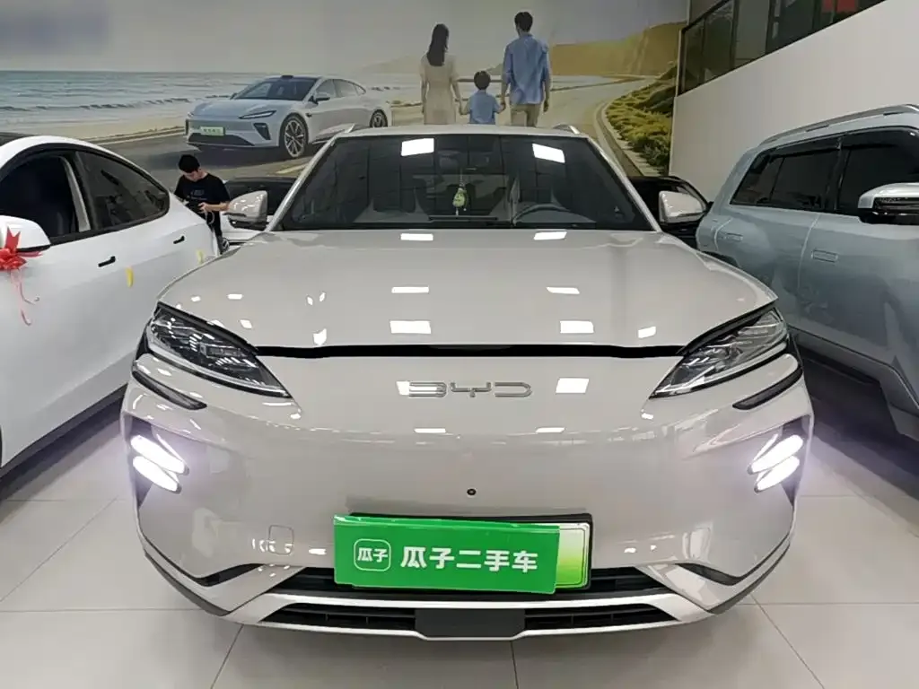 BYD PLUS New Energy — фото 9