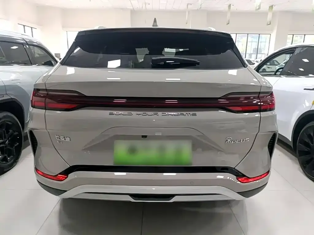 BYD PLUS New Energy — фото 4