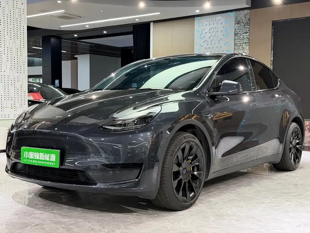 Tesla Model Y — фото 1
