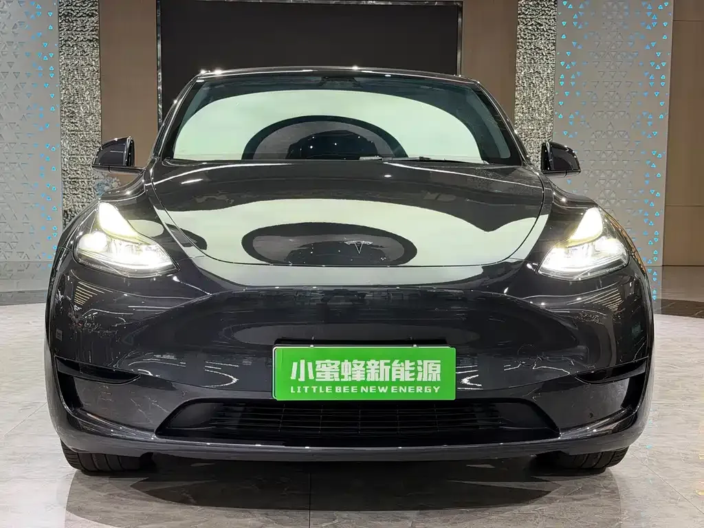 Tesla Model Y — фото 7