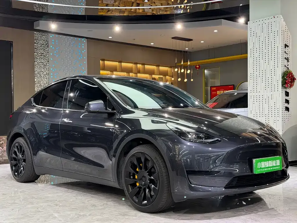 Tesla Model Y — фото 9