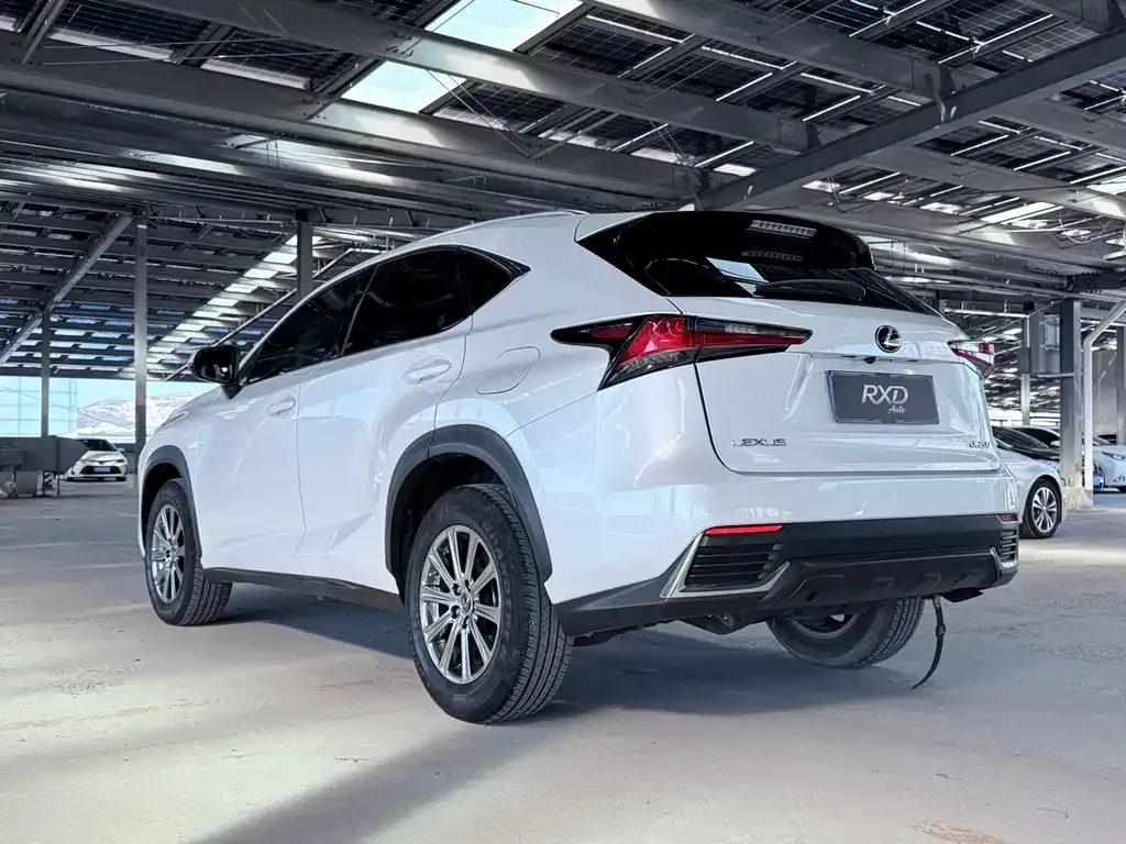 Lexus NX — фото 6