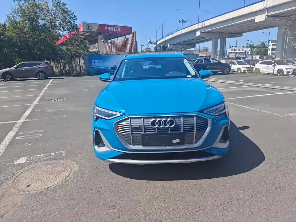 Audi e-tron — фото 5