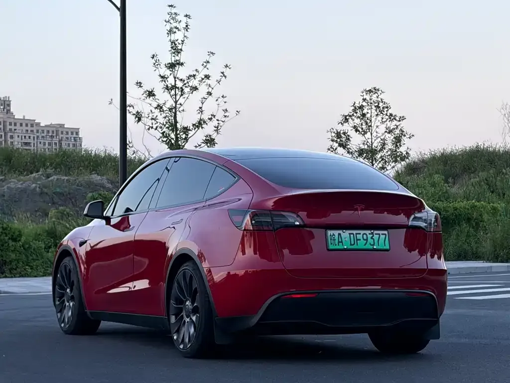 Tesla Model Y — фото 2