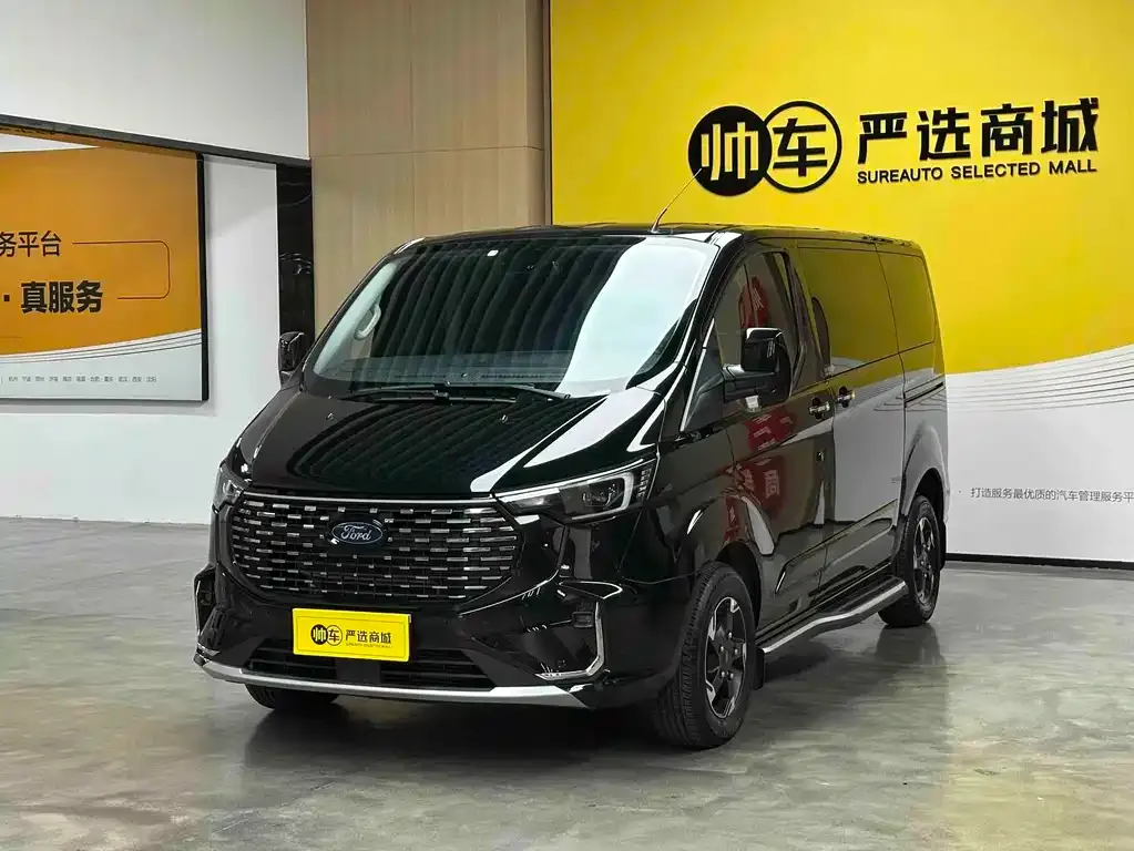 Ford Tourneo — фото 1