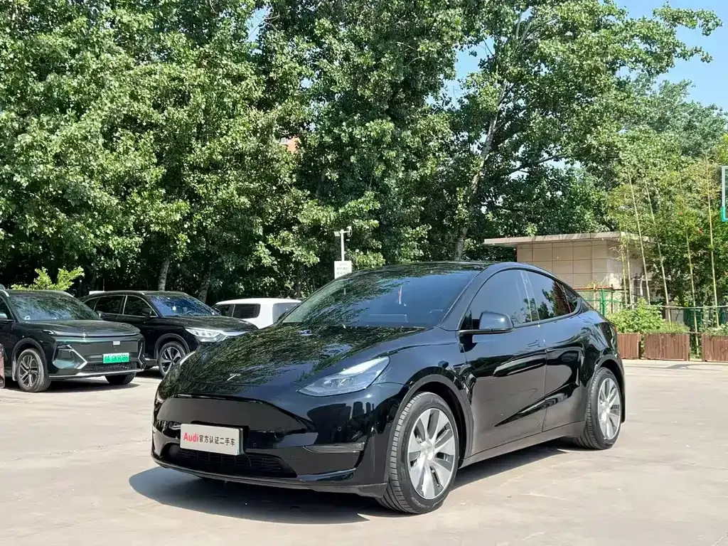 Tesla Model Y — фото 1