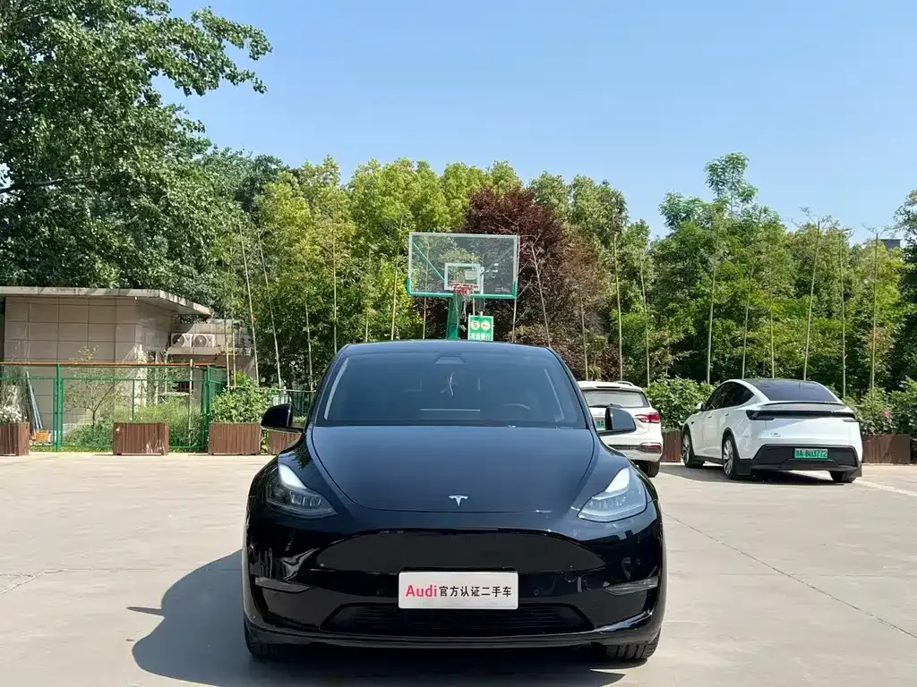 Tesla Model Y — фото 7