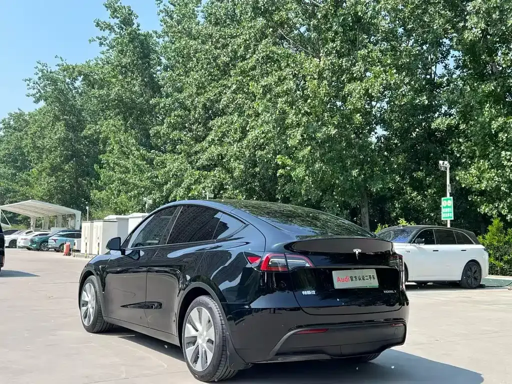 Tesla Model Y — фото 9